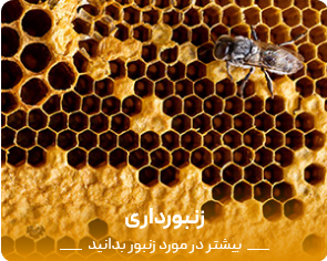 Screenshot 2021 09 14 at 17 11 01 فروشگاه ایران عسل خرید اینترنتی عسل مرغوب