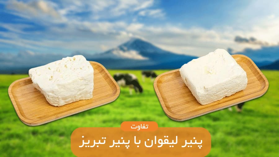 تفاوت پنیر لیقوان با پنیر تبریز