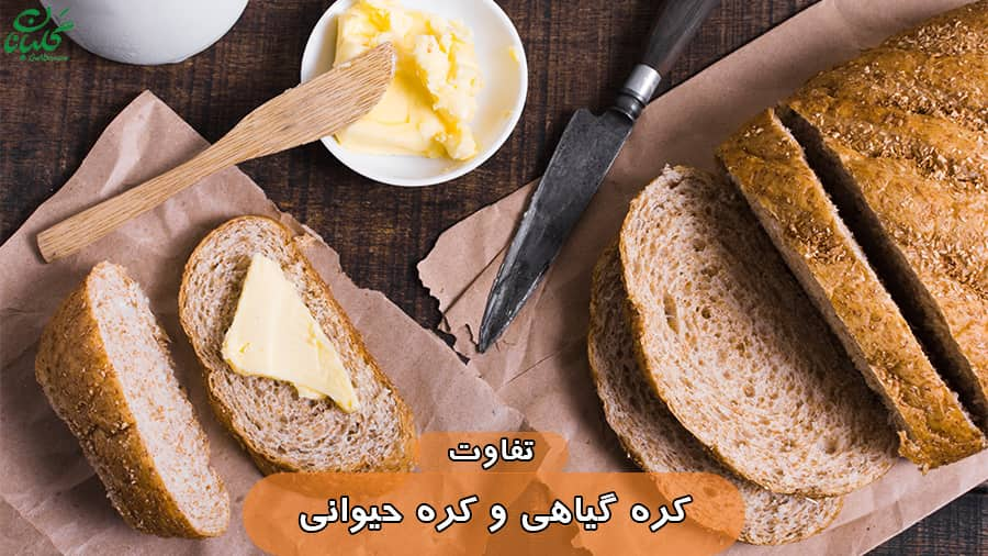 تفاوت کره گیاهی و کره حیوانی چیست؟